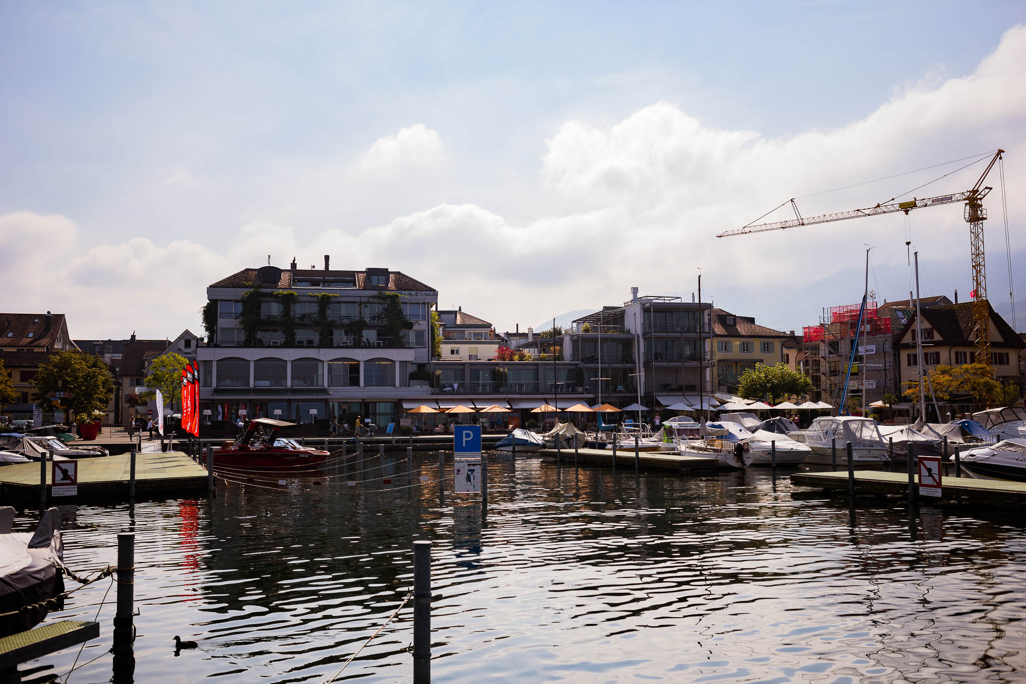 Export x3 5D4 3979 Hochzeit 2020 Muriel & Trevor